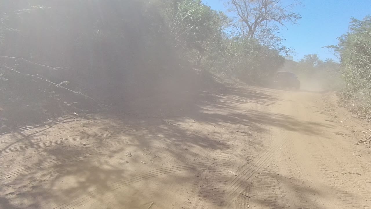 A dusty dirt road in Los Cabos is partly obscured by a tan dust cloud, with dry brush, trees, and no visible people.