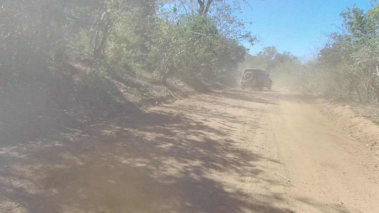 SUV ahead on a dusty dirt road between trees