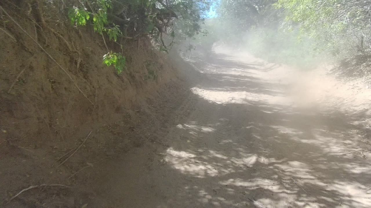 Opening frame of a sandy dirt road in Los Cabos, Baja California Sur, with tree shadows, roadside brush, and no visible people.