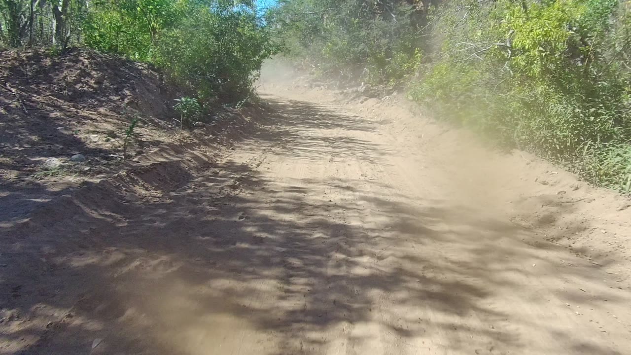 A brighter section of the Los Cabos dirt road shows tire marks, roadside rocks, green shrubs, and no visible people.