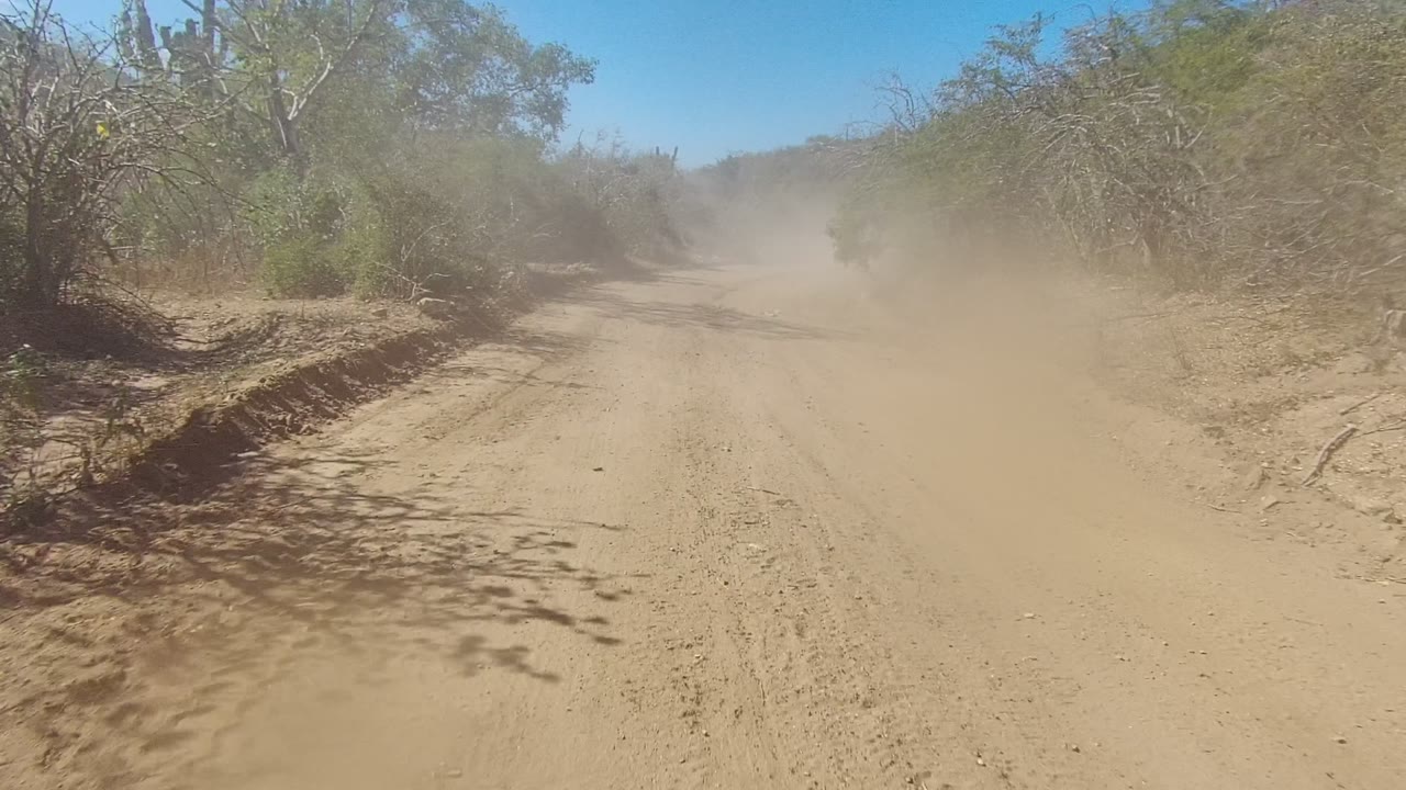 A dusty dirt road in Los Cabos, Baja California Sur is bordered by dry brush and scrubby trees under a clear blue sky, with no visible people.