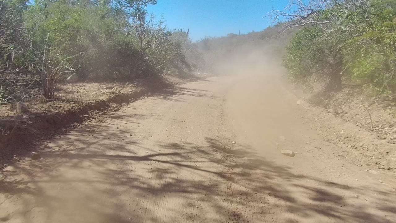 Dirt road curving through brush with dust ahead.
