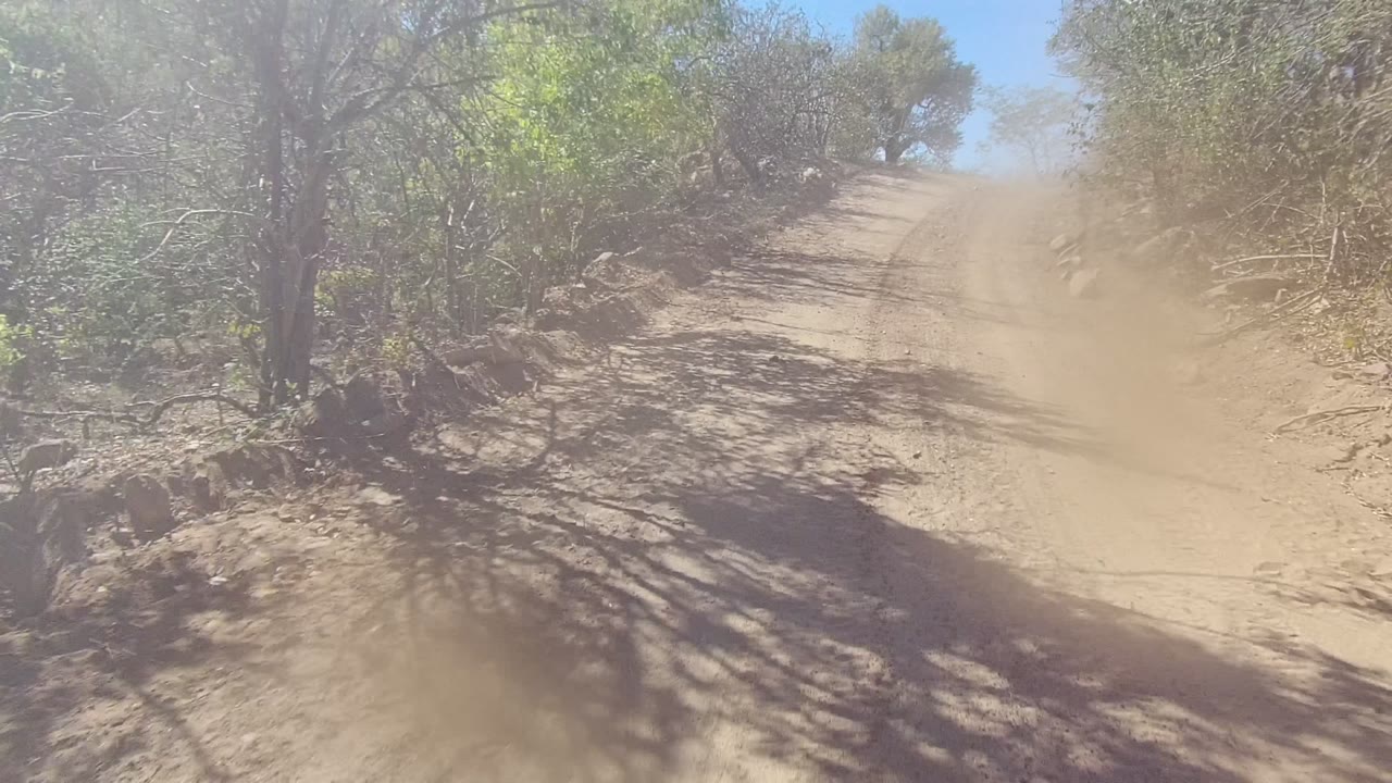 A dusty dirt road in Los Cabos, Baja California Sur passes between dry trees and scrub, with tan dust hanging over the track and no visible people.