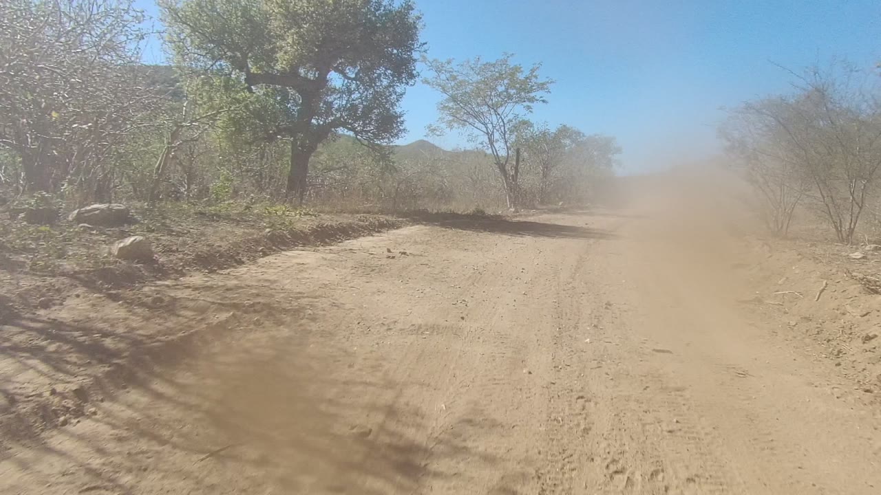 A wide dirt road in Los Cabos, Baja California Sur stretches ahead beside sparse trees while a thick dust cloud softens the right side of the frame, with no visible people.