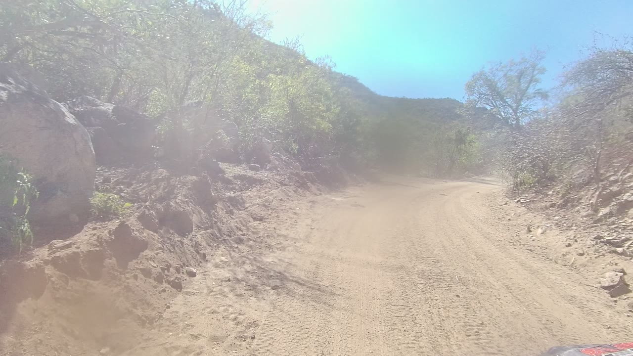 A dusty road segment in Los Cabos passes close to a rocky embankment and dry trees, with pale sky above and no visible people.