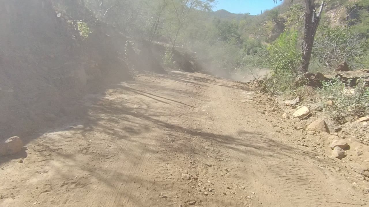 Sunlit dirt road curving past rocks and scrub vegetation.