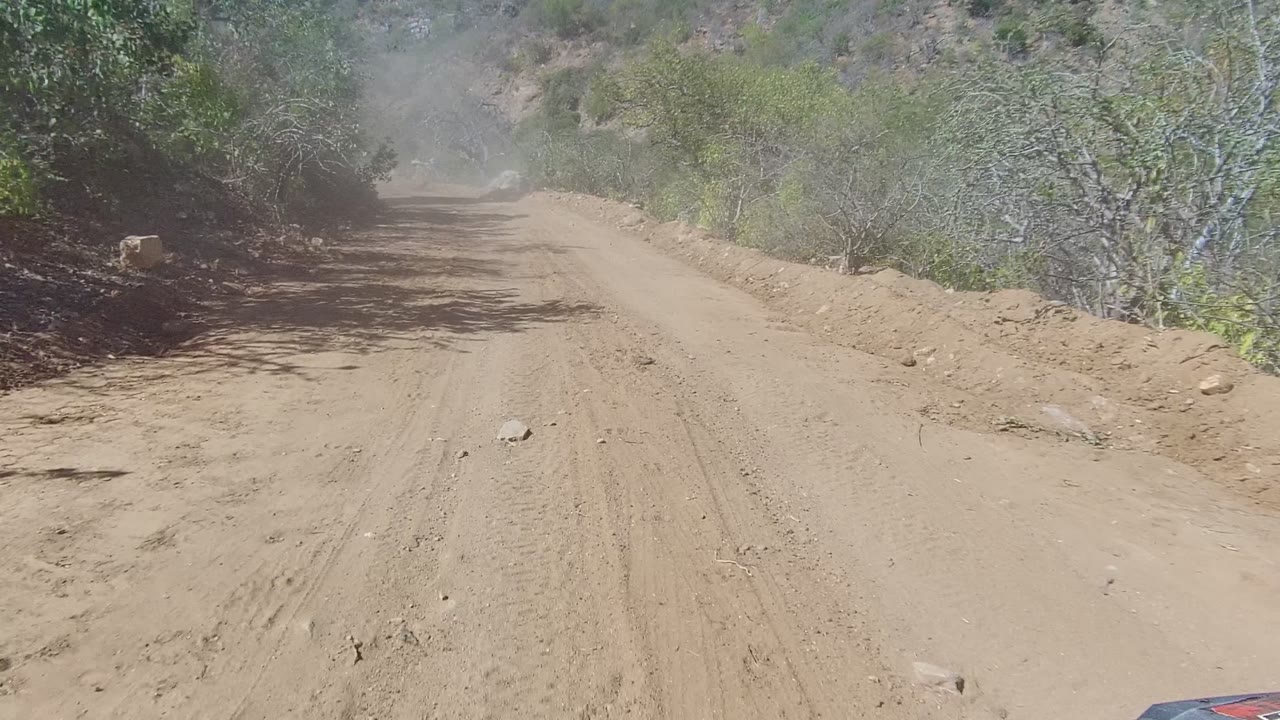 Dusty tan dirt road in Los Cabos curves ahead through dry hillside vegetation with tree shadows on the track and no visible people.