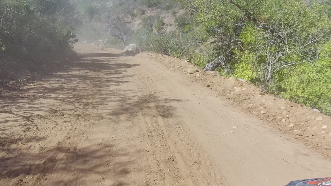 Vehicle-view dirt road with dust and roadside trees