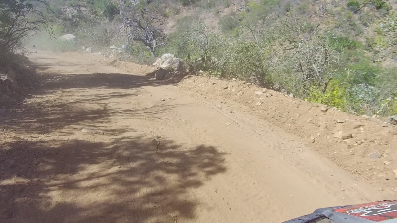 Rutted road surface in Los Cabos passes pale rocks and dense green roadside brush under bright sun, with no visible people.
