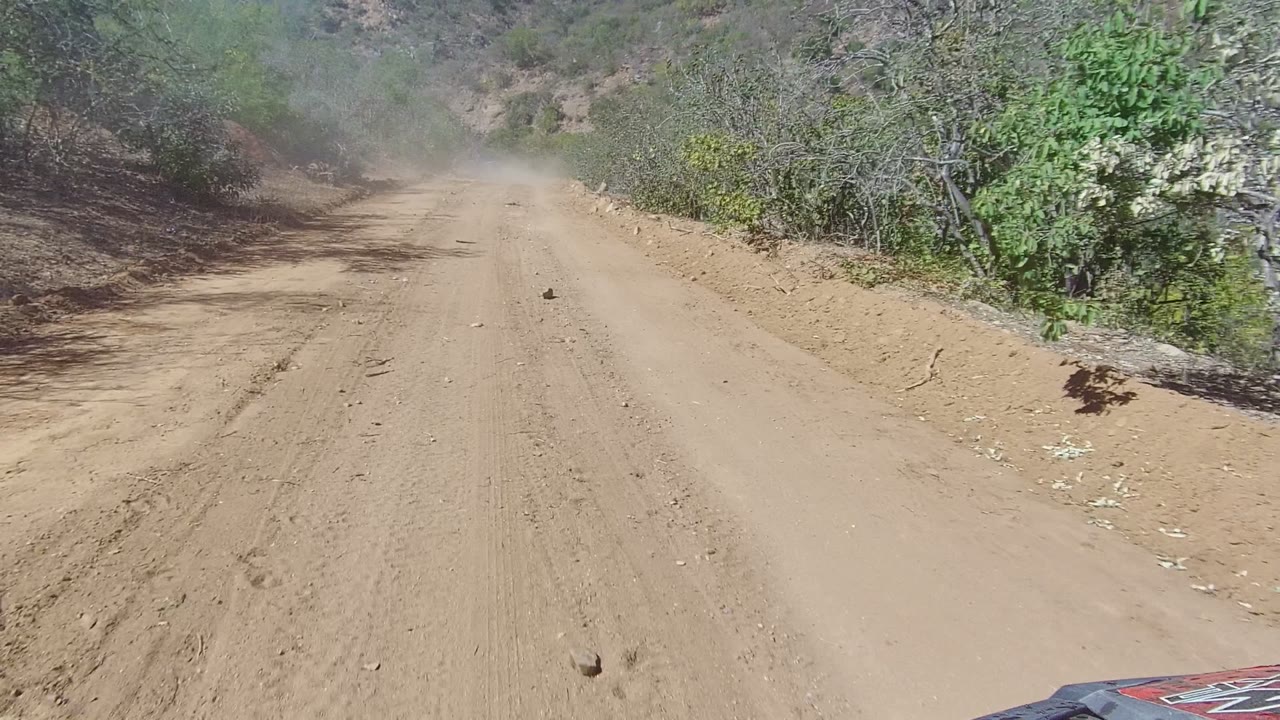 Dry mountain road bordered by scrub vegetation