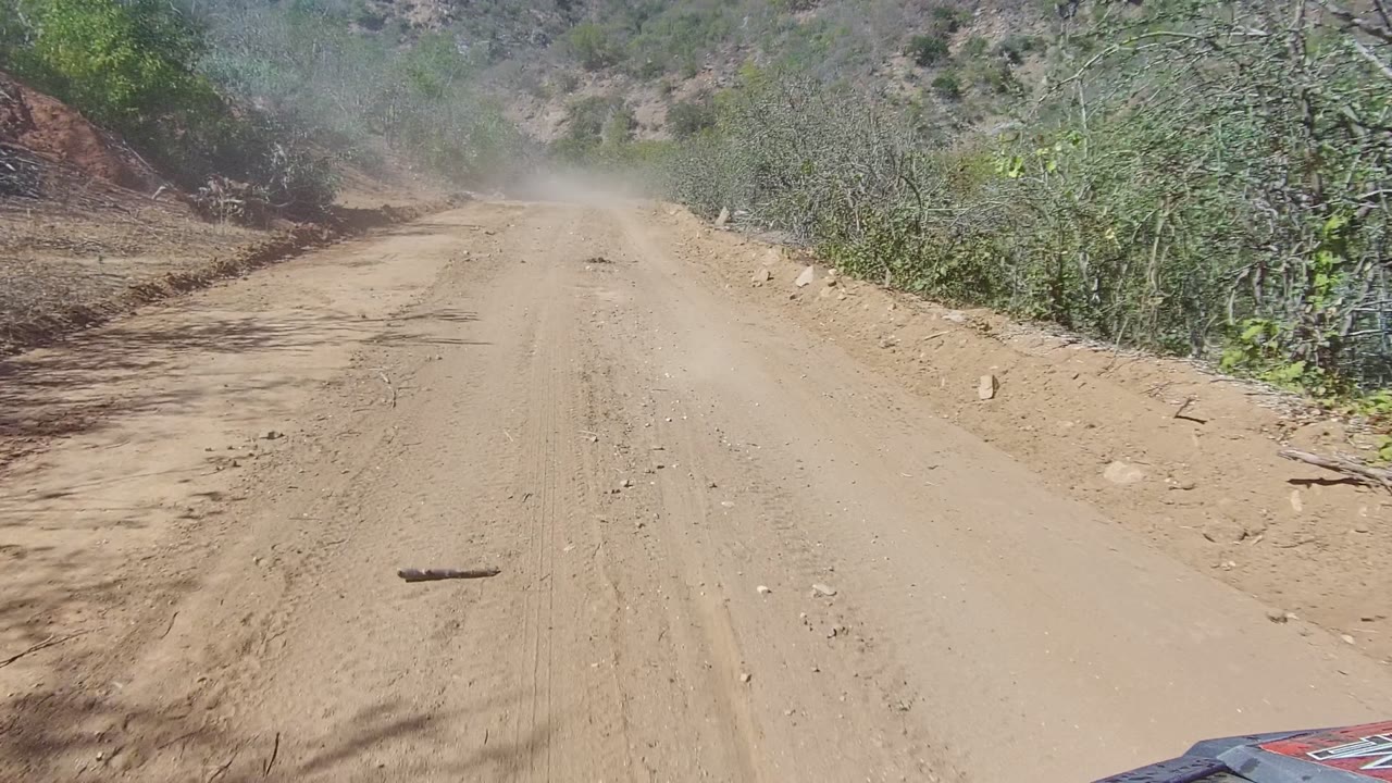 A pale dust cloud softens the view ahead on a rough dirt road in Los Cabos, Baja California Sur, with bushes along both sides and no visible people.
