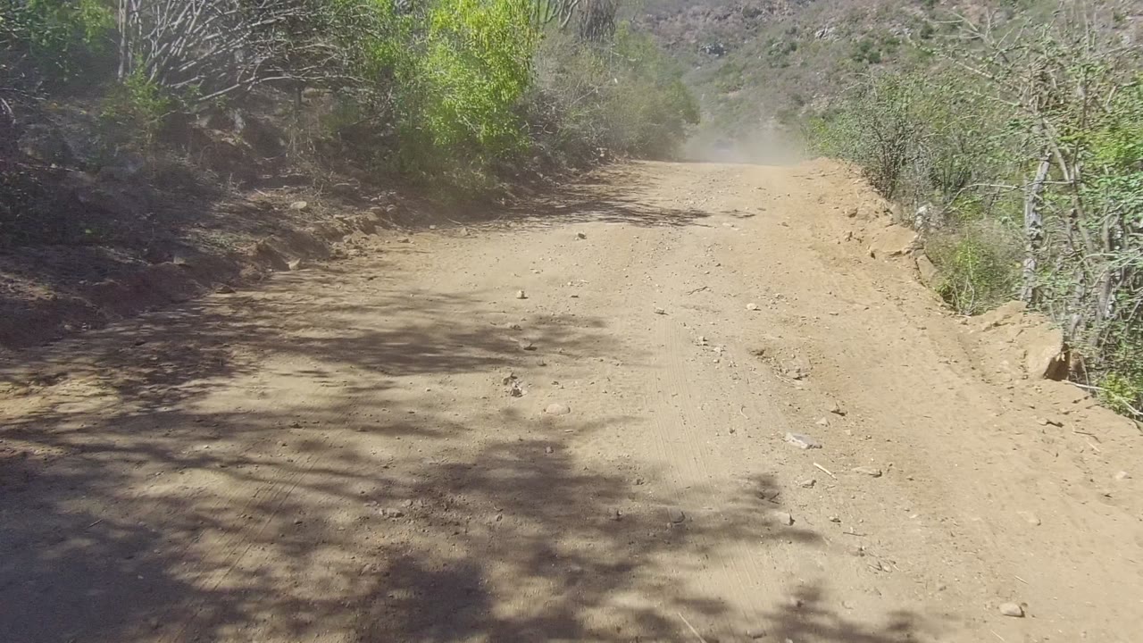 A dusty dirt road in Los Cabos, Baja California Sur, Mexico runs between shrubs and dry hillside under bright sun, with no visible people.