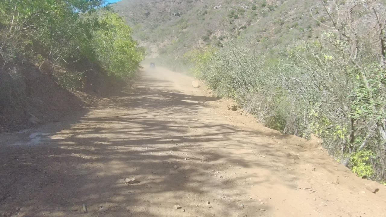 A dusty dirt road in Los Cabos, Baja California Sur runs between green roadside shrubs and dry hills, with no visible people.