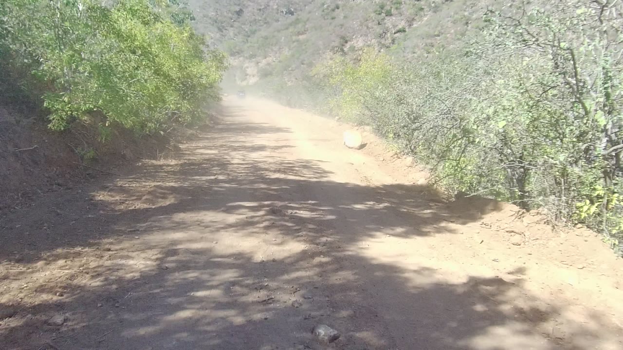 Sunlit dirt road curving past brush with dust in the distance