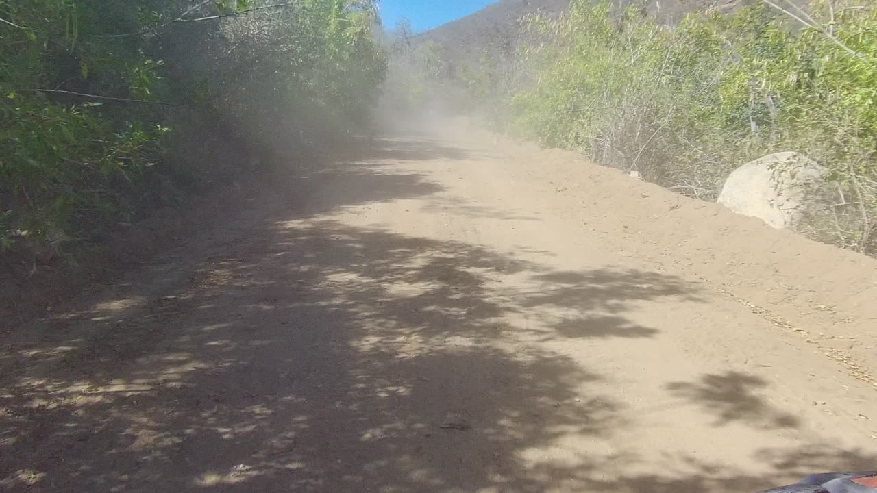 A dusty dirt road in Los Cabos, Baja California Sur runs between shrubs and trees, with a dust cloud ahead and no visible people.