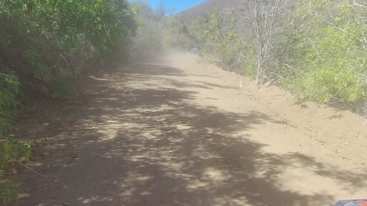 A curving dirt track in Los Cabos, Baja California Sur is lined by tall brush, with a dusty patch farther up the road and no visible people.