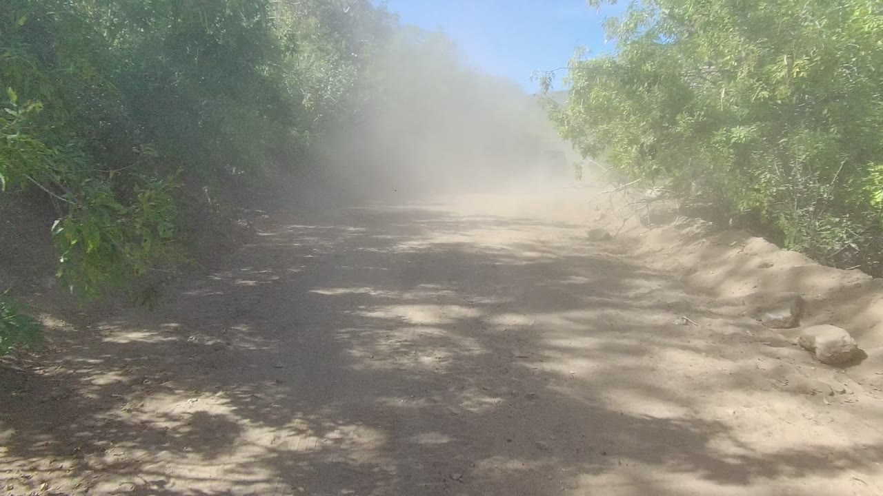 A dusty unpaved road in Los Cabos, Baja California Sur, bordered by dense green vegetation, with a broad dust haze across the left side and no visible people.