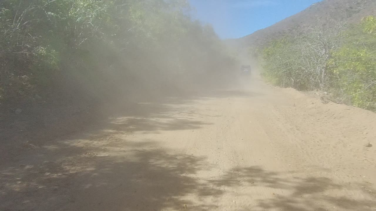 Dust cloud hanging over a sunlit dirt road with bushes on both sides.