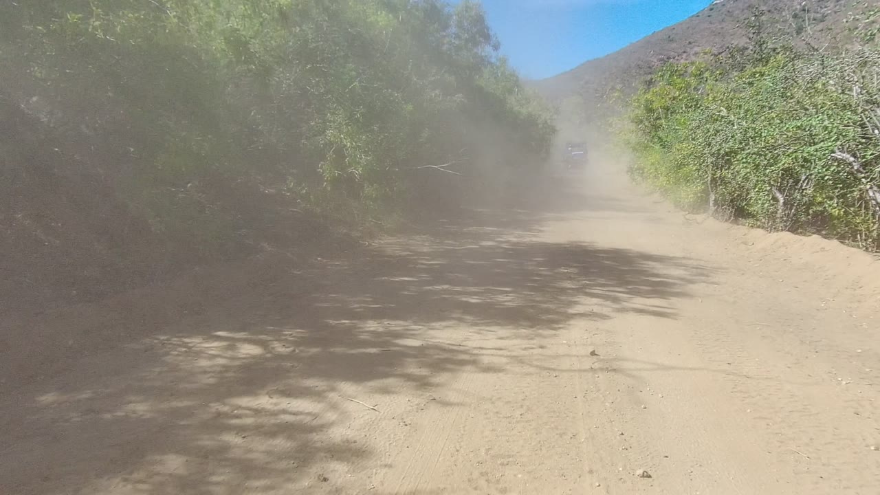 A dusty rural road in Los Cabos bends through green vegetation, with the dust plume thinning toward the center and no visible people.