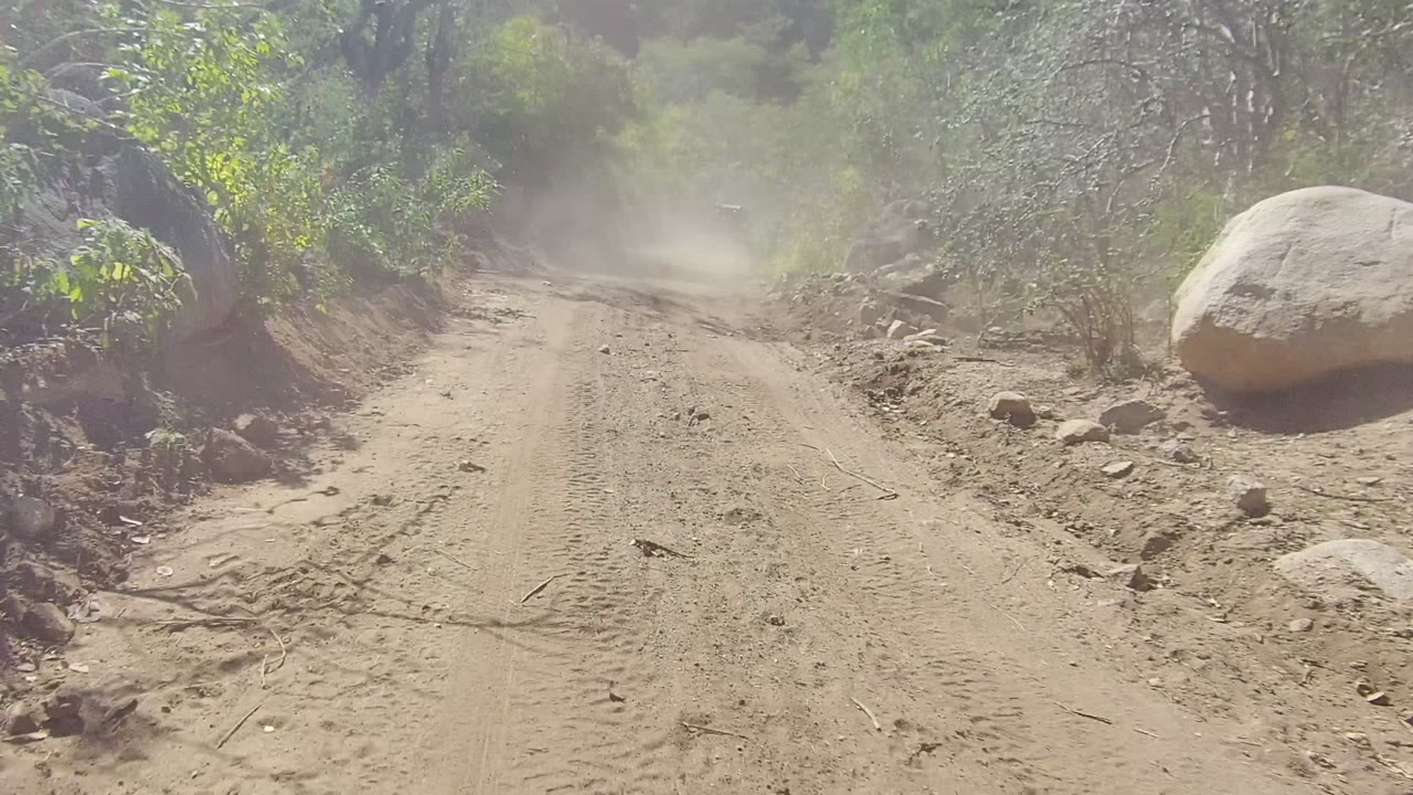 A dusty dirt road curves through trees and rocks in Los Cabos, Baja California Sur, with tire tracks in the foreground and no visible people.