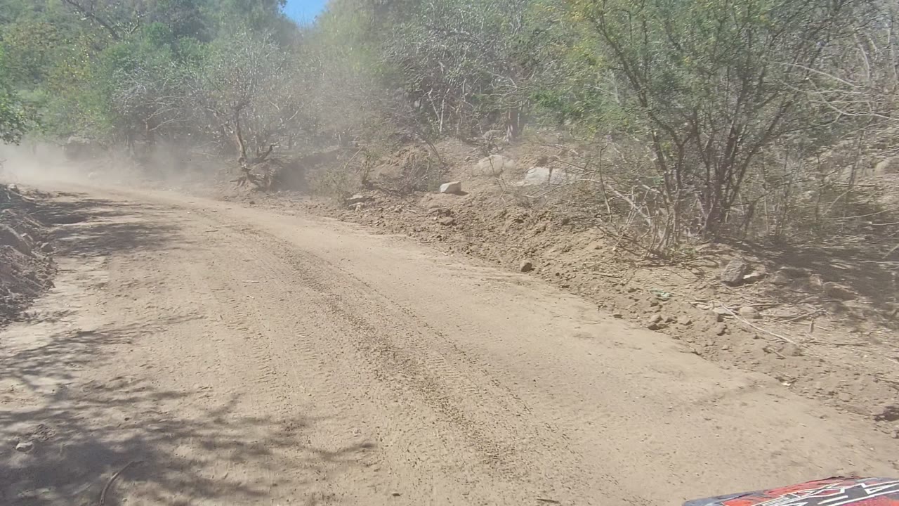 A dusty unpaved road in Los Cabos, Baja California Sur curves through dry scrub trees and rocks, with vehicle bodywork visible at the lower right and no visible people.