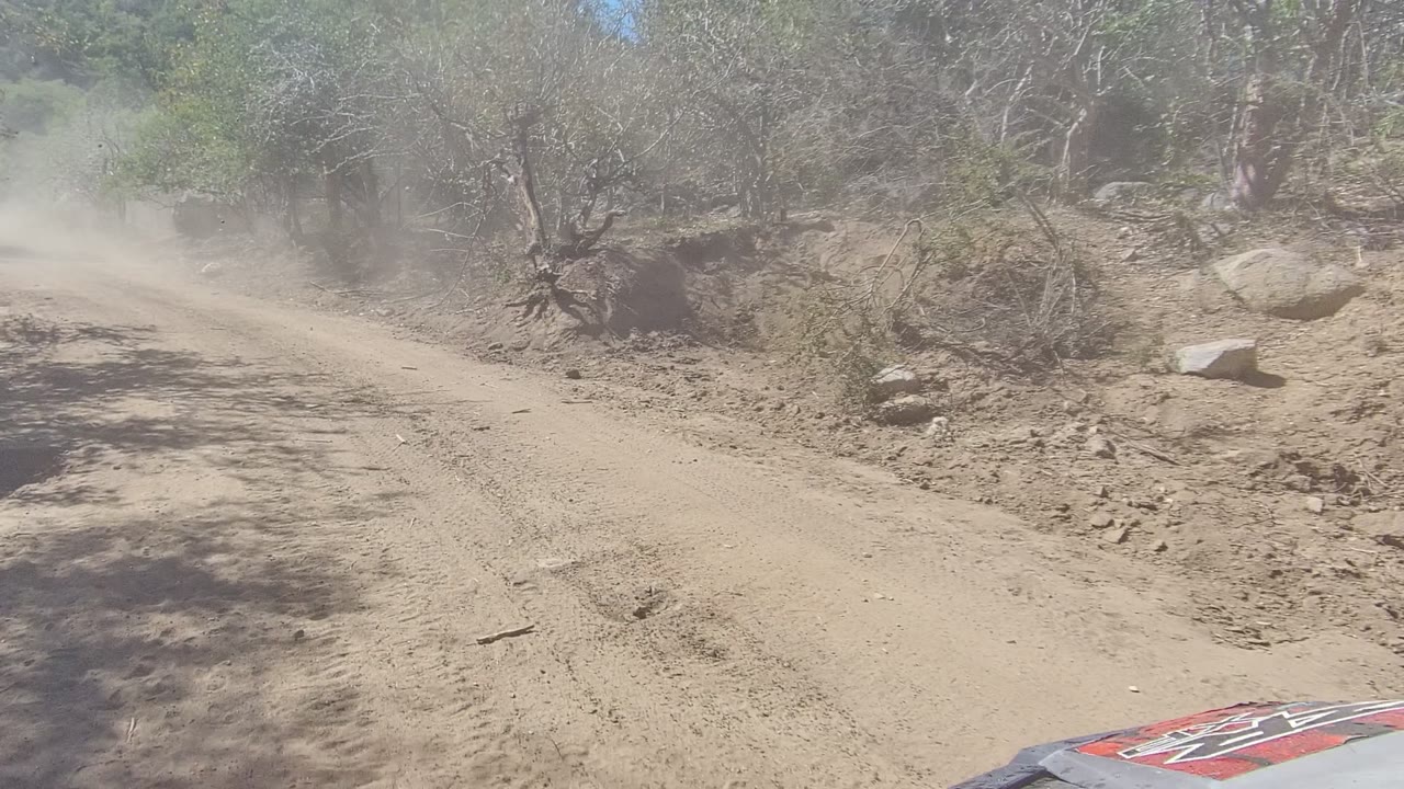 Unpaved road bordered by scrub trees with dust hanging ahead