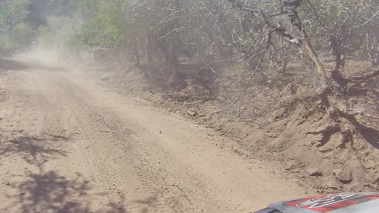 A straight section of dusty road in Los Cabos runs between dry trees and rocky edges, with airborne dust brightened by sun and no visible people.