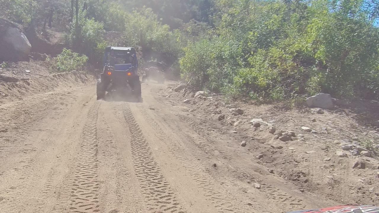 A dark jeep moves away on a sandy Los Cabos dirt trail with fresh tire tracks, rocky edges, green vegetation, and no visible people.