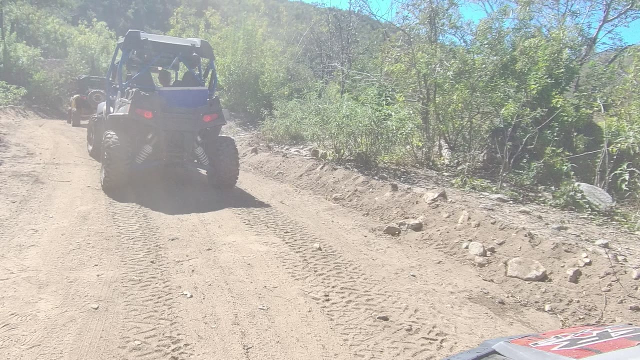A blue off-road buggy drives away on a dusty trail in Los Cabos, Baja California Sur, with tire tracks, green brush, rocky edges, and no visible people.