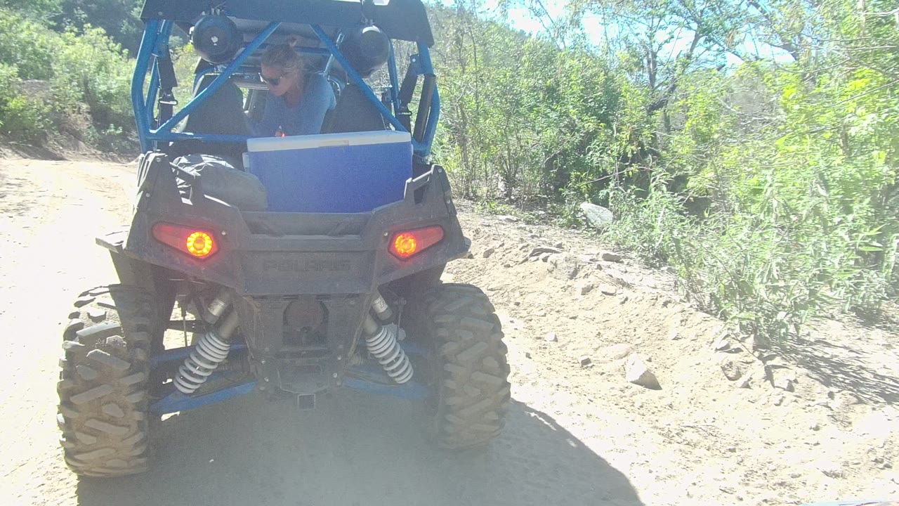 A close rear view shows the blue UTV on the dry Los Cabos path, with the driver more visible through the open roll cage and bright vegetation along the right side.