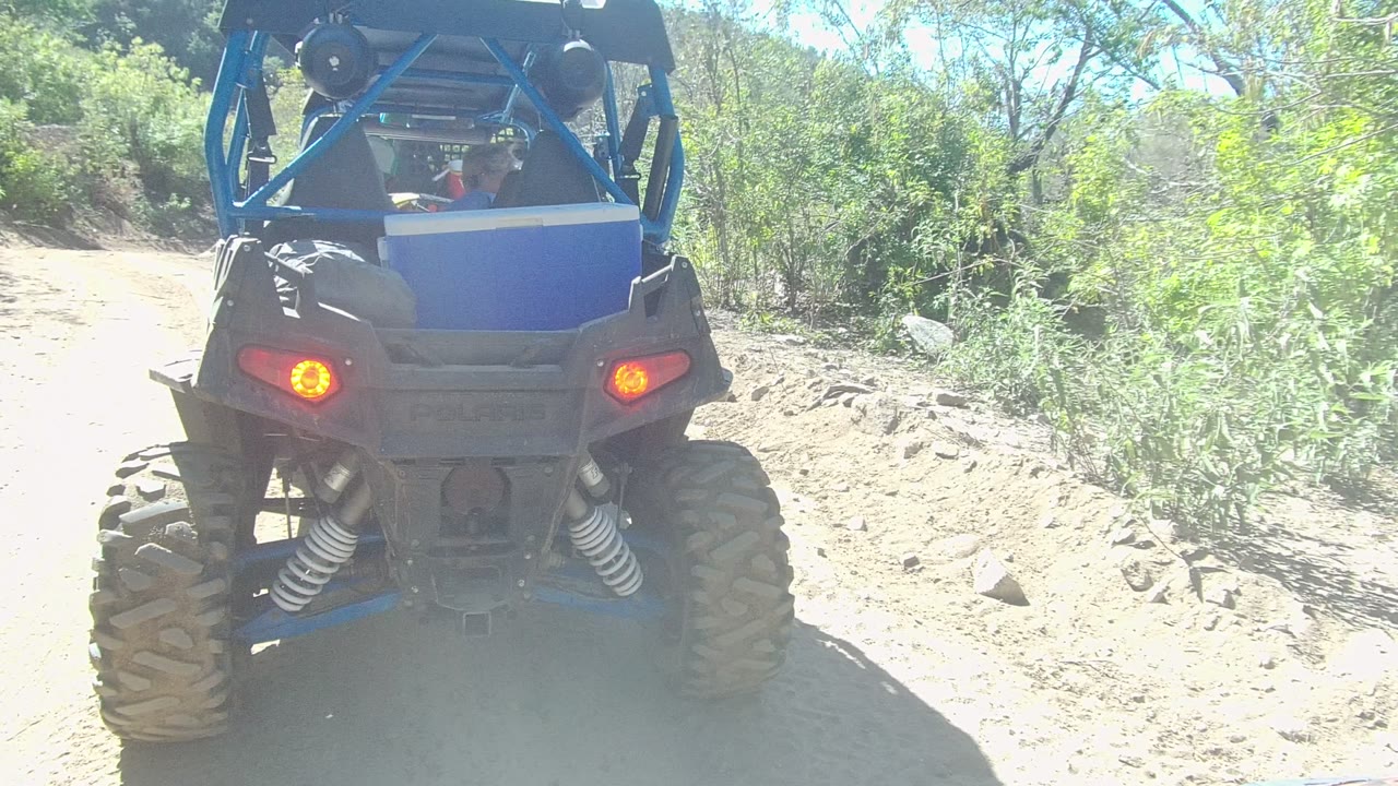 Blue UTV rear with glowing taillights beside green brush