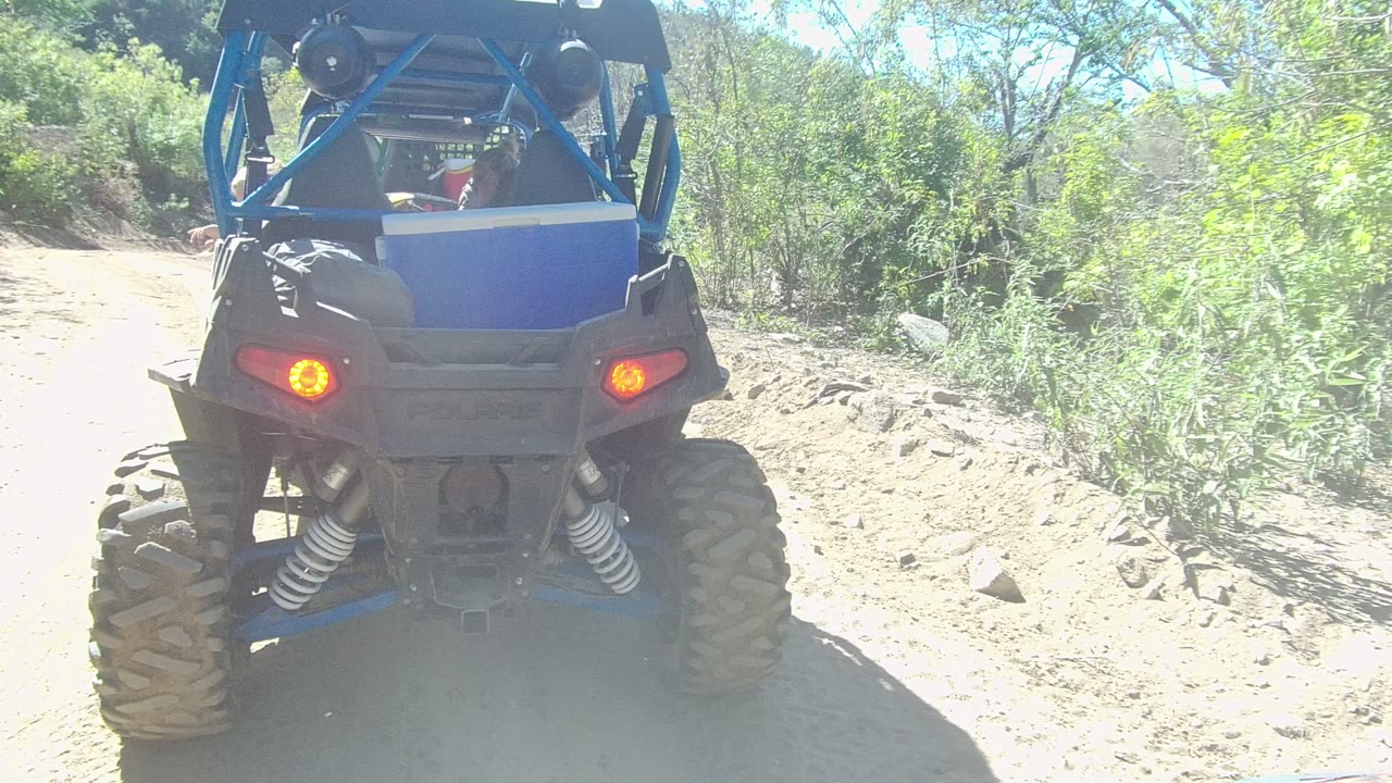 Blue UTV rear close-up with taillights on a bright dirt path.