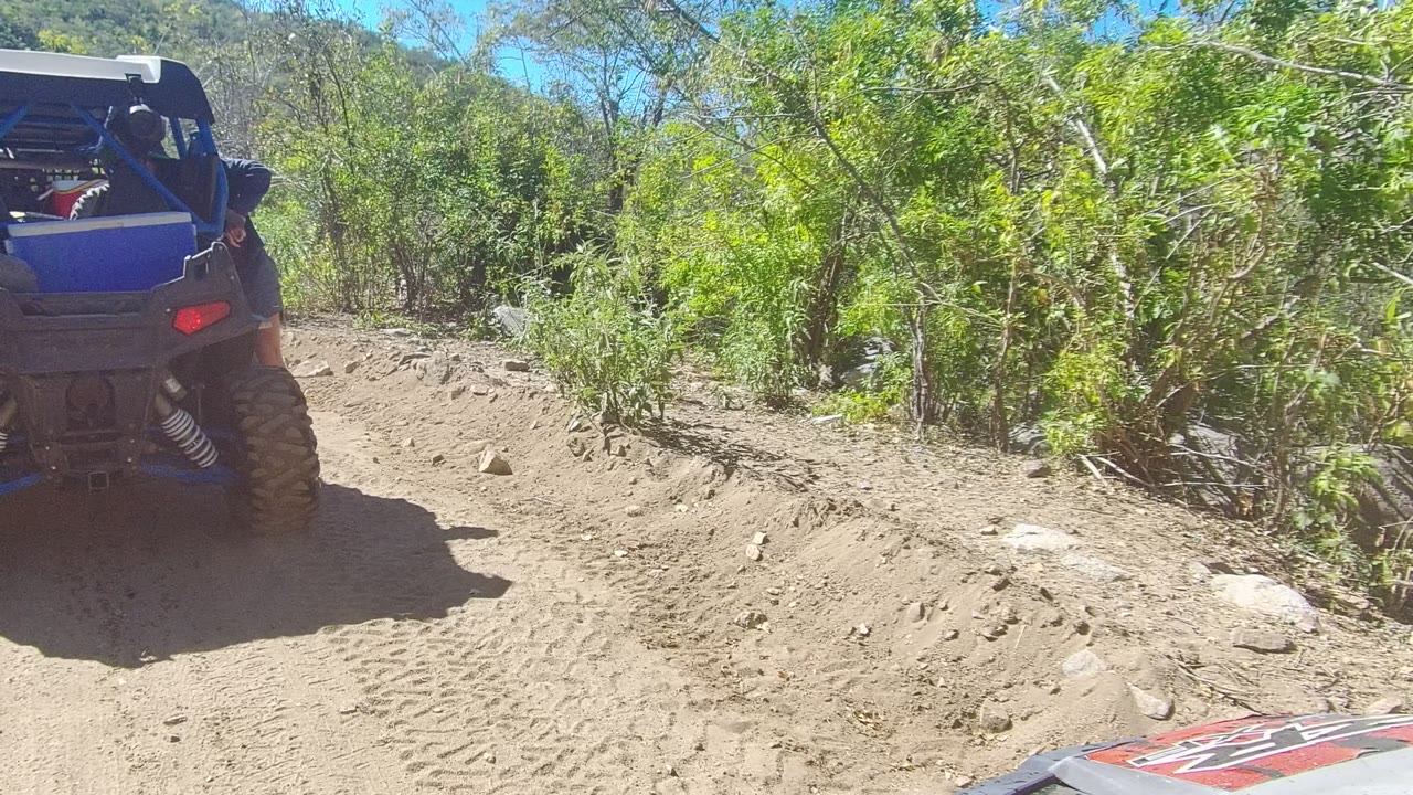 Rear-left view of a blue and black off-road vehicle on a rocky dirt trail in Los Cabos, Baja California Sur, with green brush in bright sun and a partial person at the vehicle edge.
