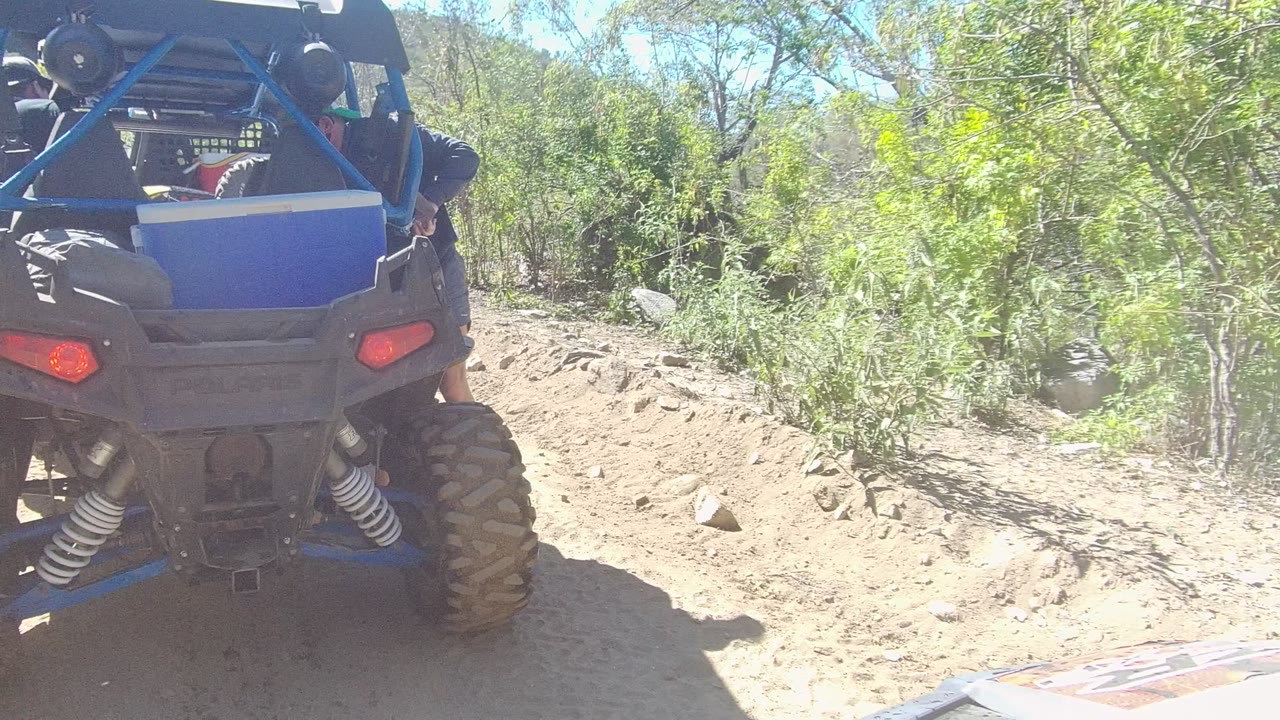 Close rear view of the off-road vehicle in Los Cabos, with its blue roll cage, black bodywork, red rear lights, dusty tire tracks, green bushes, and partial legs visible beside the vehicle.