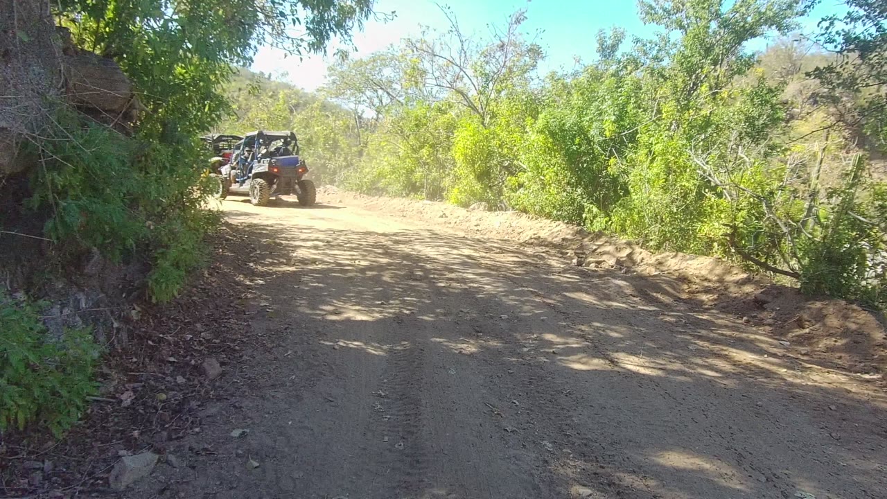 Off-road vehicles travel away along a sandy dirt road in Los Cabos, Baja California Sur, with green trees on both sides, hills beyond the road, and no visible people.