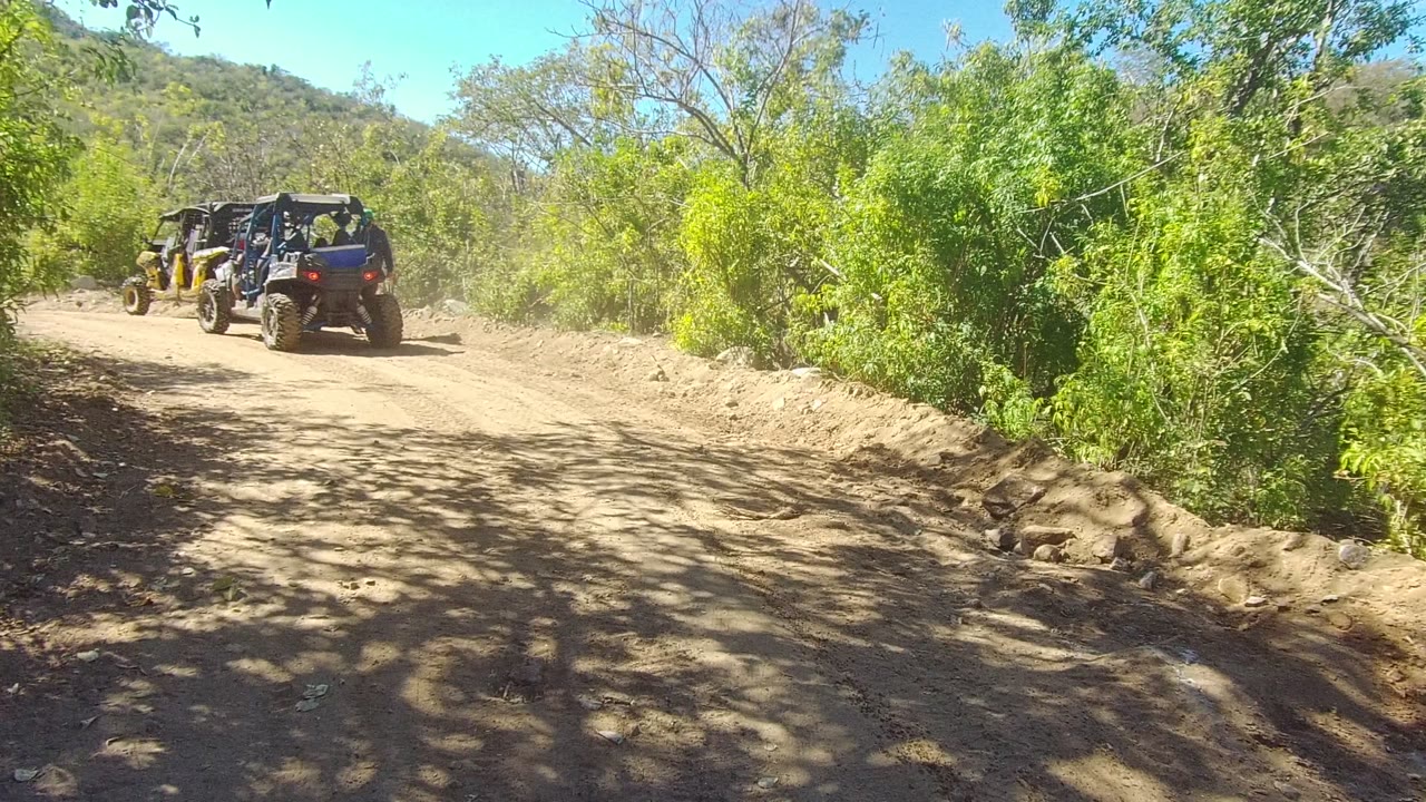 Group of ATVs and UTVs driving on a dusty road between trees.