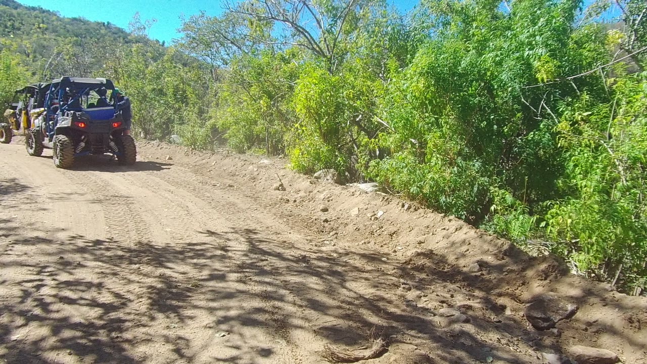 Off-road vehicles continue around a slight bend on the sandy Los Cabos path, framed by dense green brush, tire marks, hard sunlight, and no visible people.