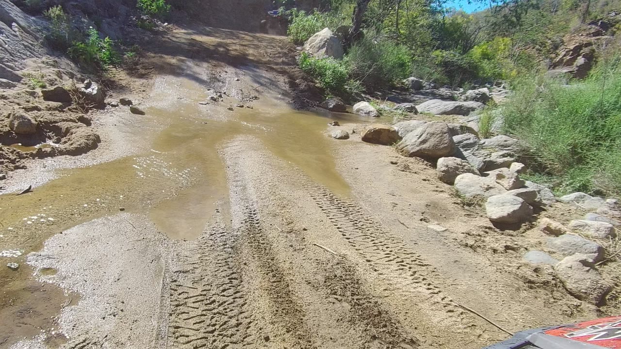 Wet dirt track with tire marks, water pools, rocks, and shrubs.