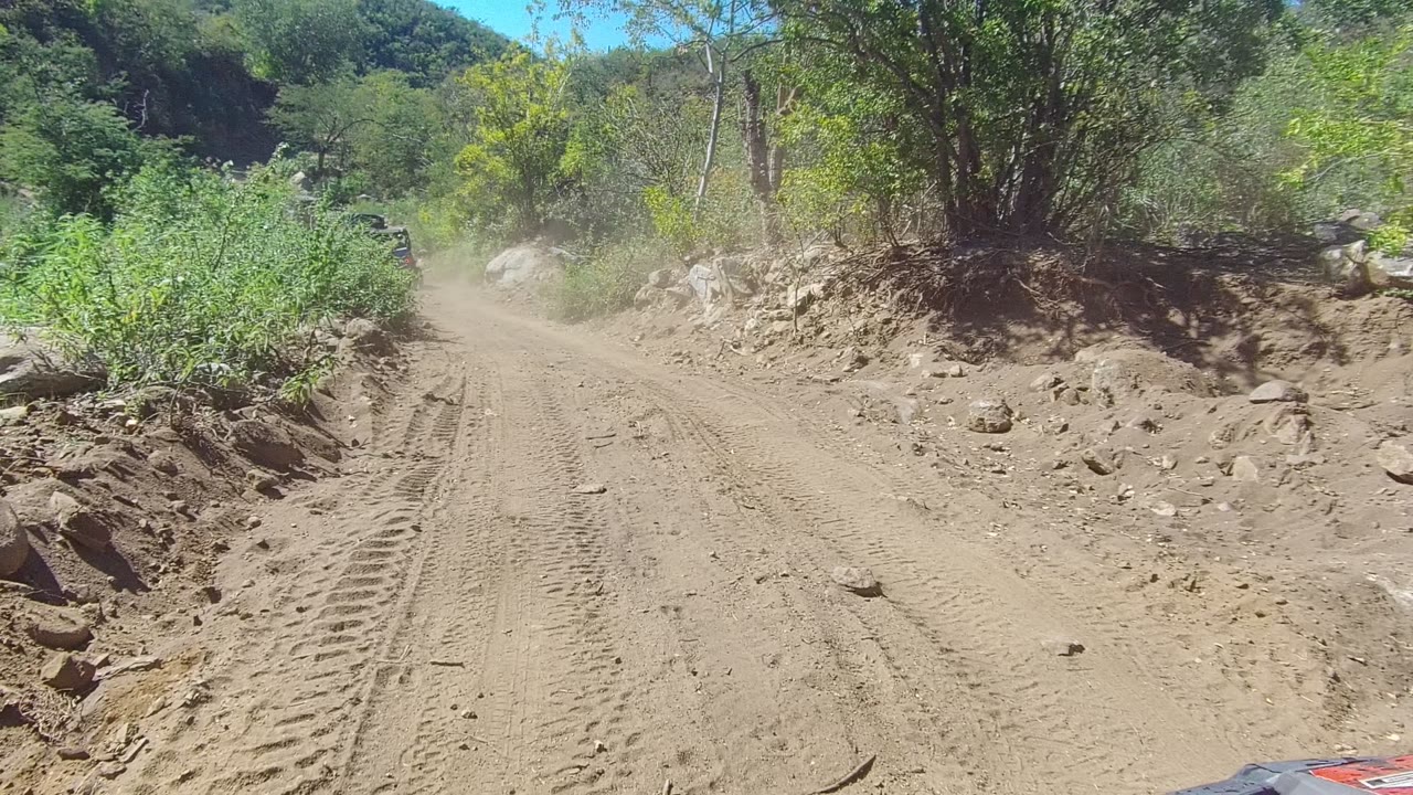 Dusty unpaved road in Los Cabos, Baja California Sur with tire tracks, roadside rocks, green vegetation, distant dust, and no visible people.