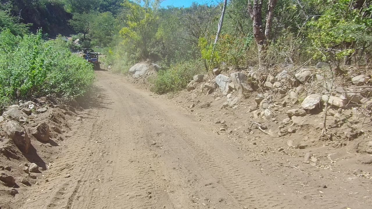 A dark off-road vehicle appears ahead on the dusty Los Cabos road, framed by tall trees, scrubby green plants, rocks, and no visible people.