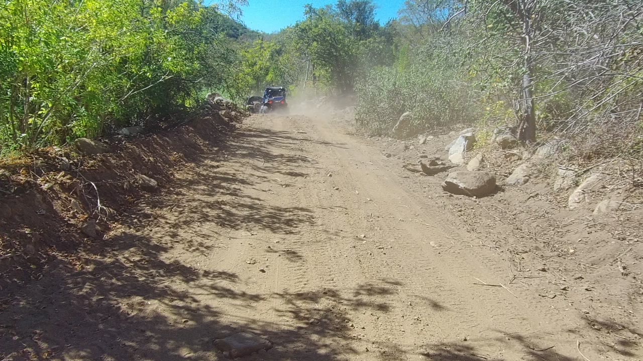Dust cloud over a rocky dirt road bordered by shrubs