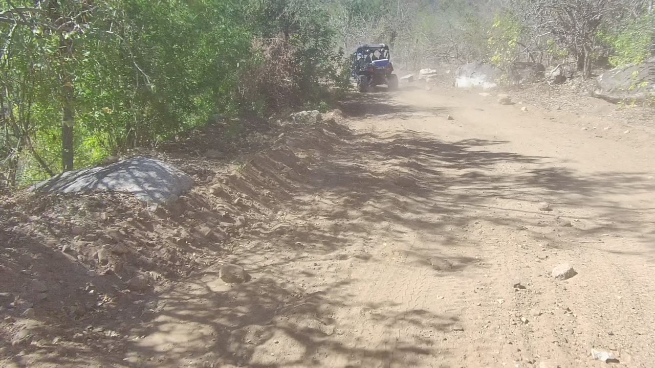 An off-road vehicle drives away on a dusty dirt road in Los Cabos, Baja California Sur, with rocks, green brush, dry trees, and no visible people.