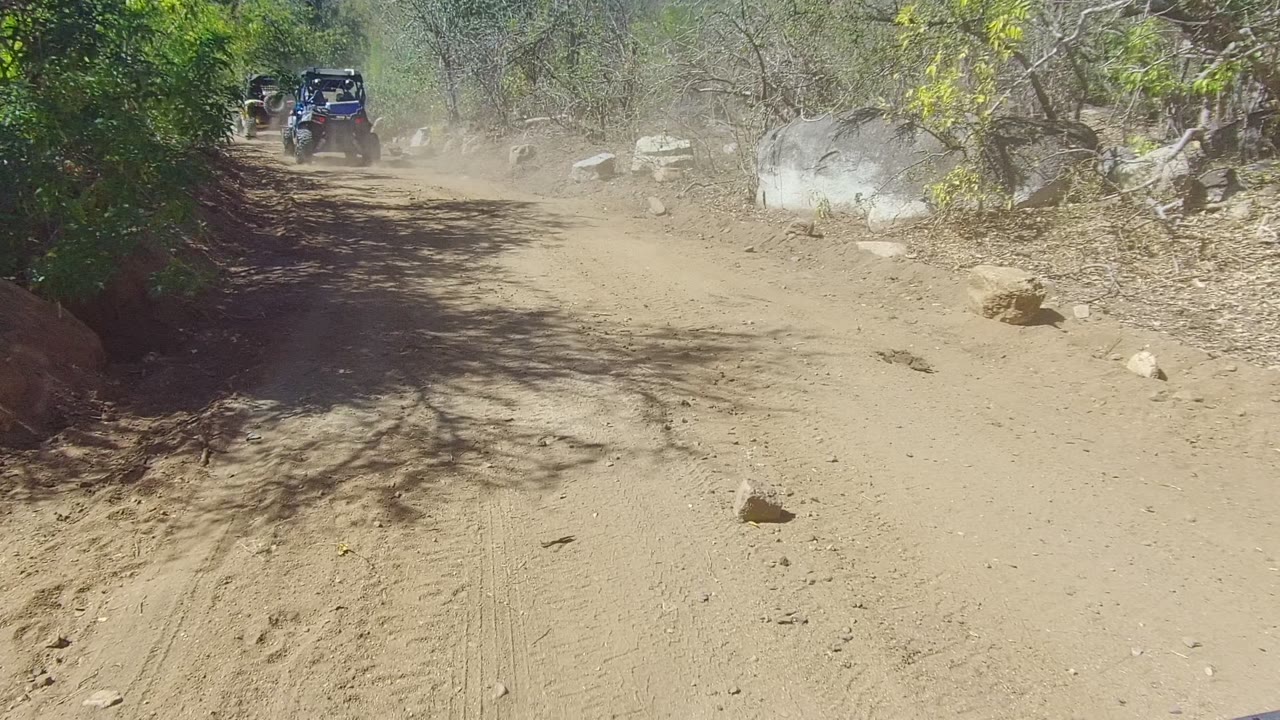 A small off-road vehicle continues along the sunlit Los Cabos trail as dust hangs over the road, with bushes on the left, bare branches on the right, and no visible people.