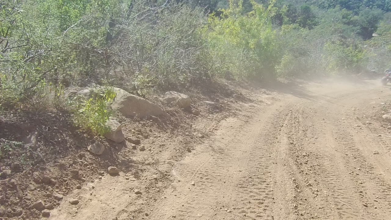 Dusty dirt road in Los Cabos, Baja California Sur curving past rocks and green brush in bright daylight, with no visible people.