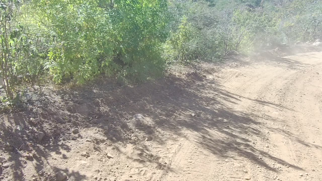 The Los Cabos dirt road runs beside sunlit green brush with dust haze over the track, visible tire marks, and no visible people.