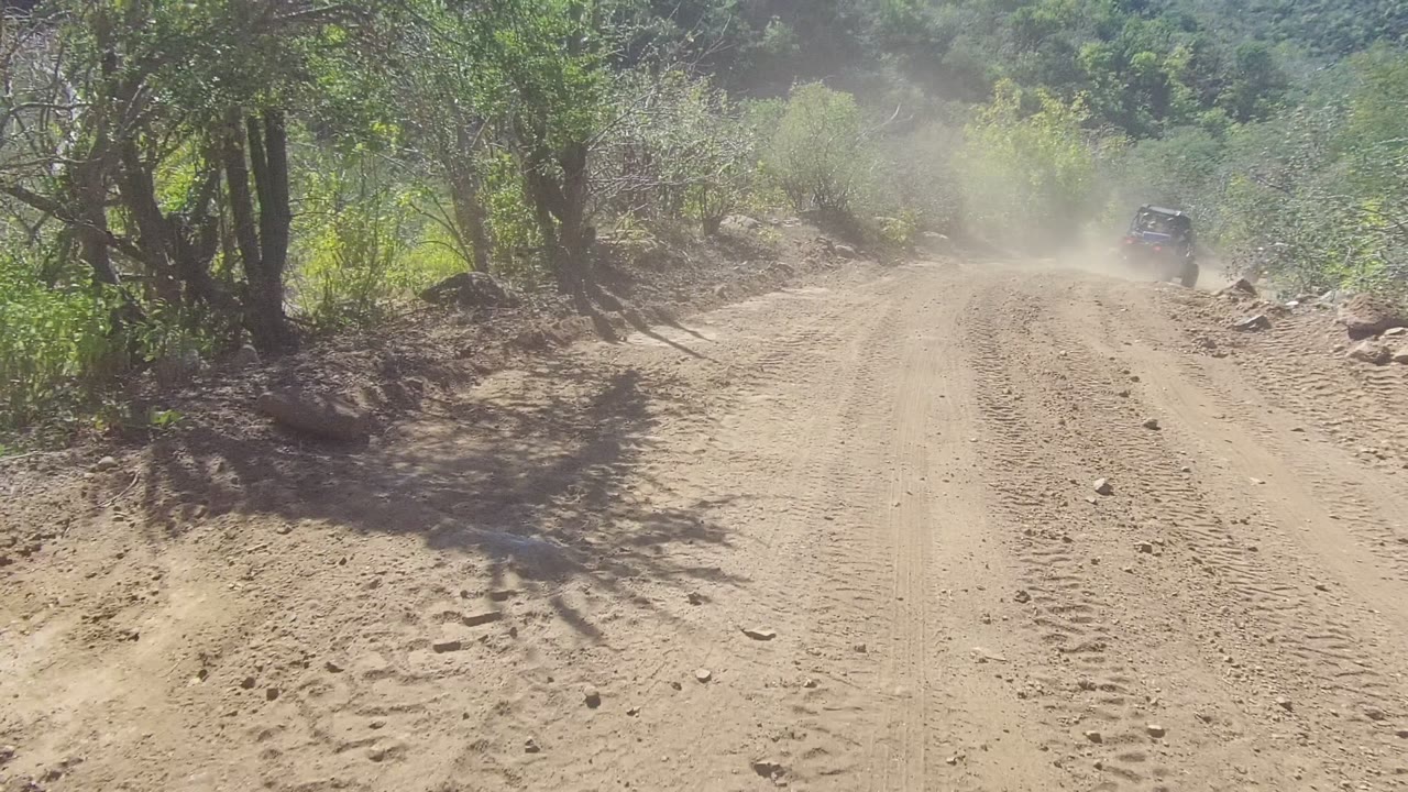 Tree-shadowed dirt road with dust and a vehicle ahead on the right.