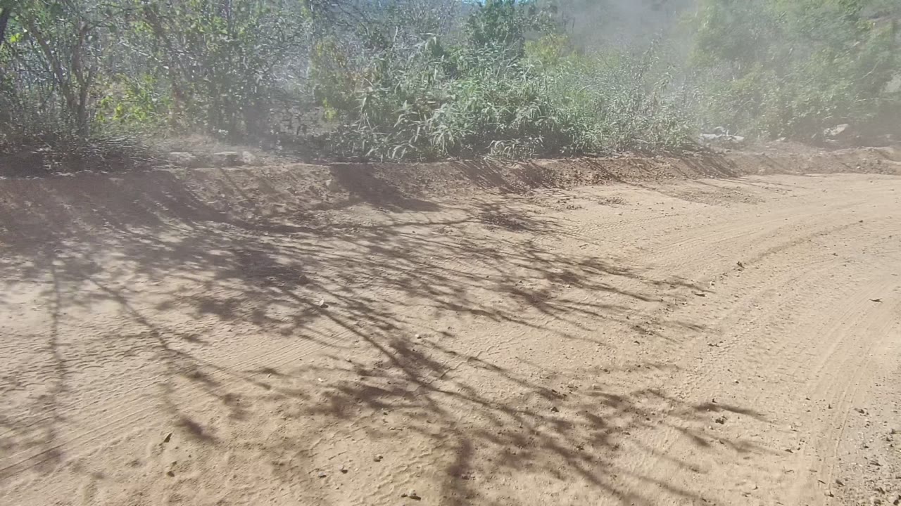 A sunlit sandy road in Los Cabos runs past dense roadside greenery, with dust softening the upper frame and no visible people.