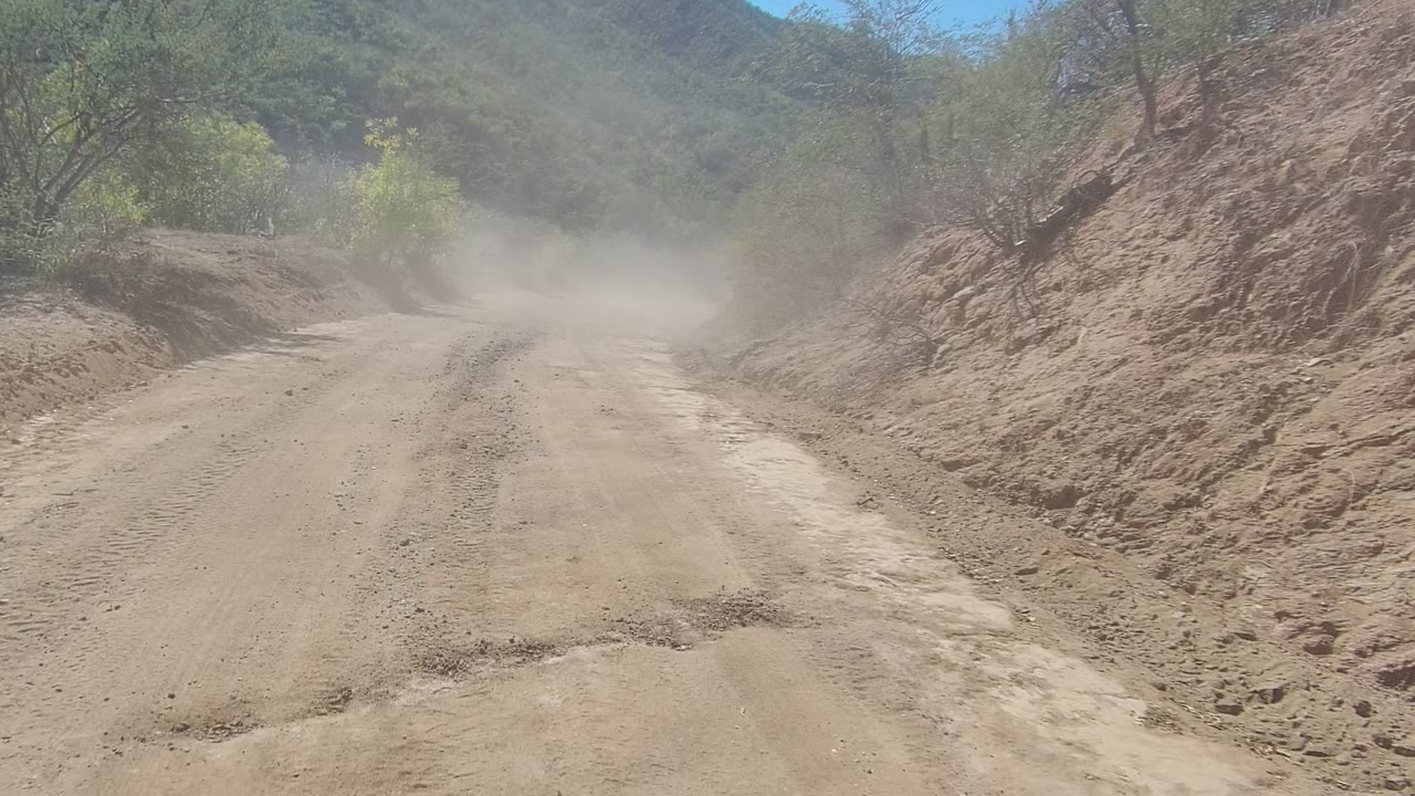 Dust drifts across a rutted dirt road in Los Cabos, Baja California Sur, with green roadside trees, dry banks, mountain hills, and no visible people.