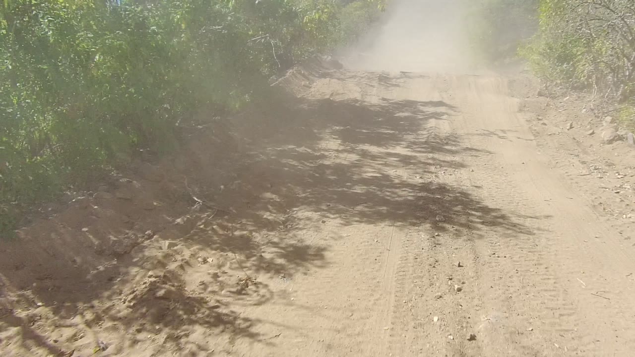 Dusty unpaved road curving through green roadside vegetation.