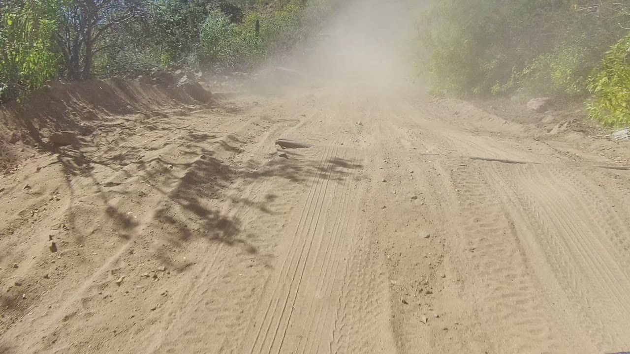 A bright sandy track in Los Cabos, Baja California Sur leads toward a thicker dust plume beyond brush and trees, with ruts and scattered stones visible and no visible people.